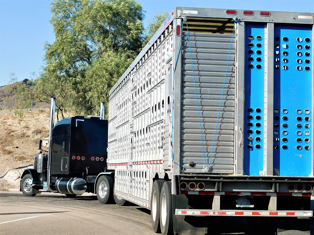 Expand Your Trucking Business with Trailer Interchange Insurance